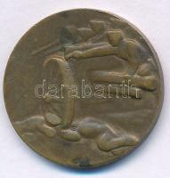 Osztrák-Magyar Monarchia 1915. "A Krasniki diadalmas csatában az oroszoktól elvett ágyúból vere...