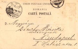 1905 Galati, Galatz; Strada Mihaiu Bravul / street (Rb)