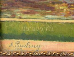 A Pauliny jelzéssel: Schönbrunni kastély parkja, 1929. Olaj, falemez. Dekoratív fakeretben. 47,5×65 ...