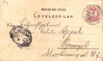 1897 (Vorläufer!) Szeged, Posta, látkép, városháza. Art Nouveau, floral, litho (kis szakadás / small...