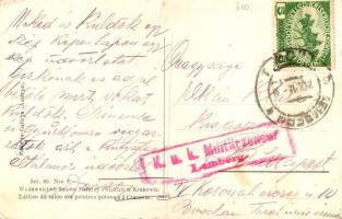 1915 Lviv, Lwów, Lemberg; Katedra rzymsko-katolicka / Cathédrale Catholigue-Romainer / Röm. Kathol. ...