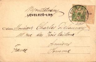 1902 Diósgyőr (Miskolc), várrom. Gedeon András kiadása (EK)