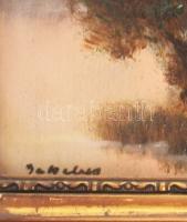 Olvashatatlan jelzéssel. Vízparti virágzás. Olaj, karton. Üvegezett, dekoratív, kissé sérült fakeret...