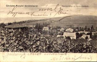 1906 Fonyód, Sándor-telep a Sipos-dombról, villa, szőlő. Fogyasztási szövetkezet kiadása (EB)