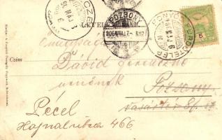 1906 Fonyód, Sándor-telep a Sipos-dombról, villa, szőlő. Fogyasztási szövetkezet kiadása (EB)