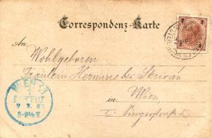 1897 (Vorläufer) Höll, Schützenauer's Gasthaus / inn. G. Jurischek Art Nouveau floral litho