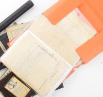 1902 - 1972 Matits Lajos (1902-1972) a Kékes-Szálló magaslati gyógyintézet főorvosa irat és okmány h...