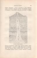 Cotta, Bernhard von: 
A jelen geologiája. Az eredeti harmadik kiadás után fordította Petrovits Gyul...