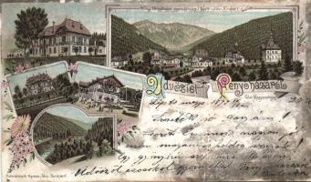 1897 Fenyőháza holiday resort litho