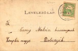 1902 Balatonföldvár, Klösz György és Rákosi Jenő nyaralója. Klösz György saját kiadása, Art Nouveau,...