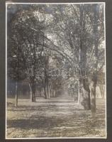 cca 1930-1940 Matits Lajos (1902-1972) a Kékes-Szálló magaslati gyógyintézet főorvosának fotóalbumai...