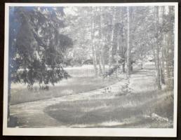 cca 1930-1940 Matits Lajos (1902-1972) a Kékes-Szálló magaslati gyógyintézet főorvosának fotóalbumai...