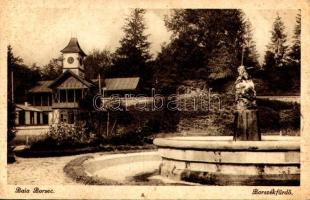 Borszék-fürdő, Baia Borsec; fürdő, szökőkút / spa, fountain (EK)