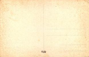 Borszék-fürdő, Baia Borsec; fürdő, szökőkút / spa, fountain (EK)