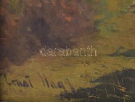 Nagy Ernő (1881-?): Hölgy a parkban. Olaj, vászon. jelezve balra lent: Ernst Nagy. 59x49 cm. Dekorat...