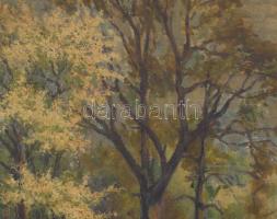 Nagy Ernő (1881-?): Hölgy a parkban. Olaj, vászon. jelezve balra lent: Ernst Nagy. 59x49 cm. Dekorat...