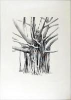 Sáros András Miklós (1945-): Arbol tropical I., 1987. Litográfia, papír, jelzett. Számozott: E.A. XV...