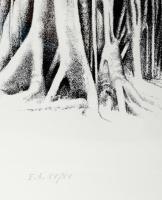 Sáros András Miklós (1945-): Arbol tropical I., 1987. Litográfia, papír, jelzett. Számozott: E.A. XV...