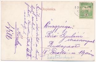 1909 Vinkovce, Vinkovci; Slav. narod. nosnja / Horvát népviselet / Croatian folklore (EK)