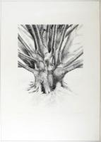 Sáros András Miklós (1945-): Balkáni bükk, 1988. Litográfia, papír, jelzett. Számozott művészpéldány...