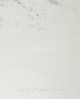 Sáros András Miklós (1945-): Balkáni bükk, 1988. Litográfia, papír, jelzett. Számozott művészpéldány...