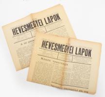 1937 Hevesmegyei Lapok 1937. május 16. és 30. XLVI. évf. 20. és 22. sz. Gyöngyös, Herzog Ernő Ármin,4 p.; 6 p. A május 30. szám sérült, szakadt.