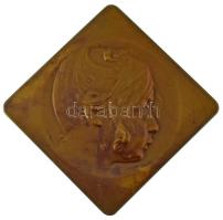 Ausztria ~1900. "Kislány portré" bronz plakett. Szign.: Joseph Prinz (55x55mm) T:AU / Austria ~1900. "Girl's head" bronze plaque. Sign.: Joseph Prinz (55x55mm) C:AU