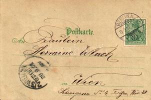 1901 Berlin, Abgeordnetenhaus / government palace. E. A. Schwerdtteger & Co. No. 560. litho (fl)