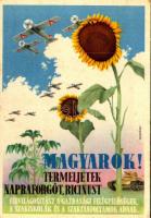 Harcigépeinknek olaj kell! Termeljünk napraforgót, ricinust! Második világháborús magyar katonai propaganda / WWII Hungarian military propaganda, grain oil for military aircrafts and tanks s: Mosdóssy (EK)