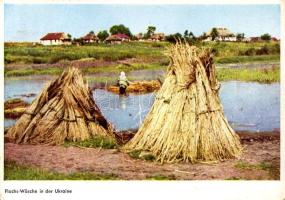 Ukraine, Flachs-Wäsche. Verlag Deutsche Verlags- u. Druckerei-Gesellschaft Ukraine m.b.H. S. 2/1. / washing flax (EK)