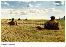 Ukraine, Kornpuppen. Verlag Deutsche Verlags- u. Druckerei-Gesellschaft Ukraine m.b.H. S. 2/2. / washing flax (EK) + 1944 Tábori Postahivatal a. c.