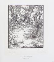 Mayer László (szerk.): Grafikák a Pittmann-gyűjteményből. Magyar sokszorosított grafika 1960-1985. S...