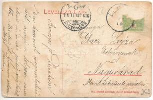 1909 Bihardiószeg, Diosig; Baptista imaház, Gróf Zichy féle kastély, lovaskocsik. Deutsch József kia...