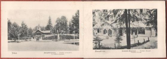 Borszék, Borsec; Heiter György fényképész kiadása Szászrégen - nem képeslapos leporello füzet 15 kép...