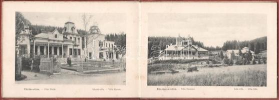 Borszék, Borsec; Heiter György fényképész kiadása Szászrégen - nem képeslapos leporello füzet 15 kép...