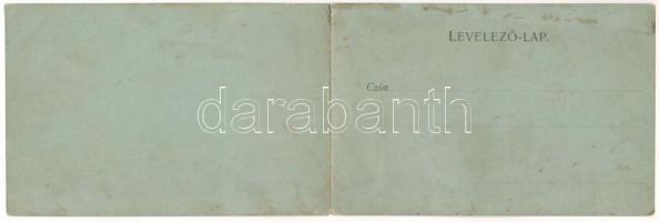 Nagyenyed, Aiud; 2-részes kinyitható panorámalap / 2-tiled folding panoramacard (r)