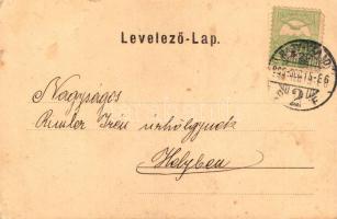 1905 Nagyvárad, Oradea; Ezredévi Emléktér / square, park (r)