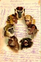 1900 Majomok / Monkeys. litho (fl)