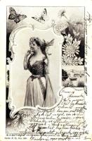 1900 Lady art postcard. Verlag V. Gustav Liersch & Co. Serie E II, No. 346. Art Nouvea floral wi...