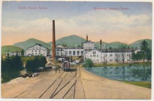 1914 Zywiec, Saybusch; Arcyks. Browar / Erzherzogl. Brauerei / brewery, beer factory, industrial railway. Th. Lintscher (EK)