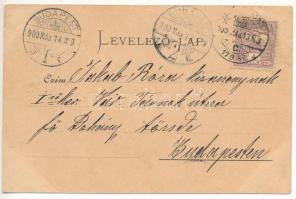 1900 Zsombolya, Hatzfeld, Jimbolia; Remete lak, Községi bérház, Fő utca, üzletek. Manzin és Ferch ki...