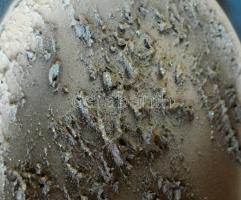 Jelzés nélkül: Kozmosz. Vegyes technika, farost. 61x121,5 cm. Fakeretben. KIZÁRÓLAG SZEMÉLYES ÁTVÉTE...