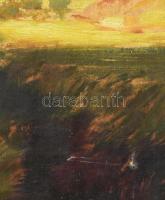 Jelzés nélkül: Táj. Olaj, vászon, sérült. Dekoratív, sérült fakeretben. 54x70,5 cm