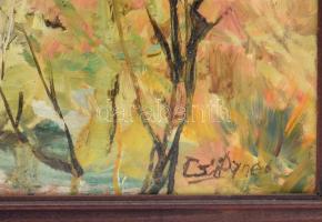 Csiszár Ágnes (-): Nyírfák. Olaj, farost, jelezve jobbra lent. Fakeretben, 70×60 cm