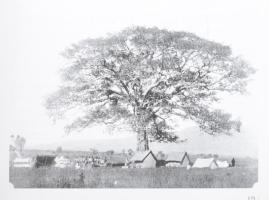 Papp Árpád: Vojnich Oszkár. / Oskar Vojnić. (1864-1914). Szabadka, 2014, Városi Múzeum. Gazdag képan...