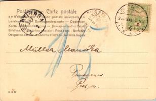 1903 Lady art postcard with birds. H.S.W. (fl)