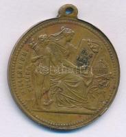 1896. "Millenniumi emlék 896-1896 / I. Ferencz József" kétoldalas bronz emlékérem füllel (...