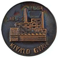 1973. &quot;Papíripari Vállalat Csepeli Papírgyára / Kiváló gyár&quot; kétoldalas bronz emlékérem, eredeti céglogós tokban (72mm) T:AU