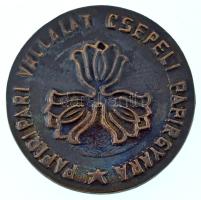 1973. "Papíripari Vállalat Csepeli Papírgyára / Kiváló gyár" kétoldalas bronz emlékérem, e...