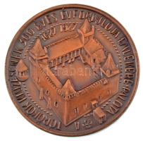 Buda István (1952-) 1987. "MÉE Budapest - Pálfy Tamás Palotai Várkapitány" bronz emlékérem (42,5mm) T:AU Adamo BP23